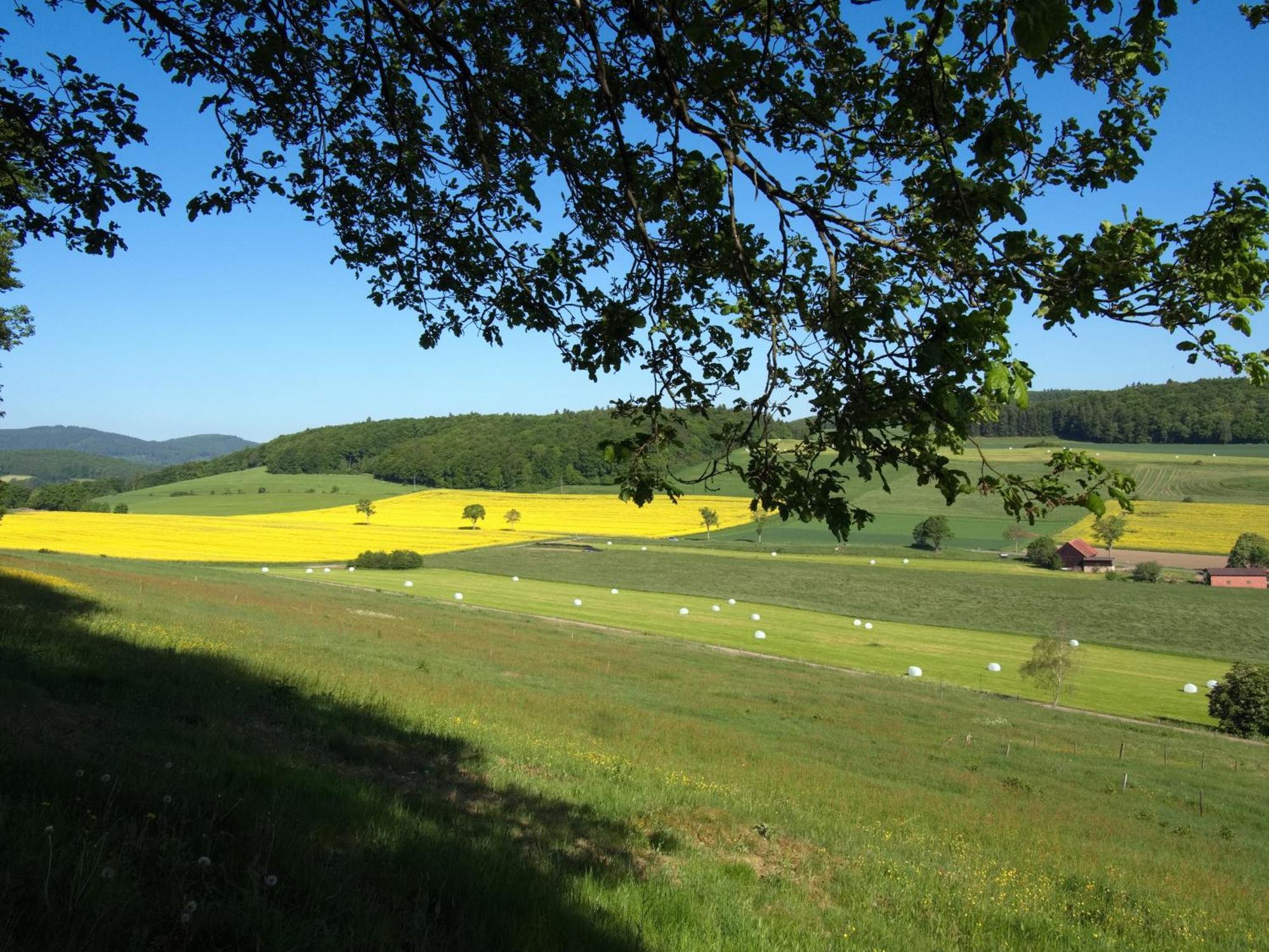 Diemelsee Sudeck - Ein Ferienhaeuschen Zum Wohlfuehlen Luaran gambar